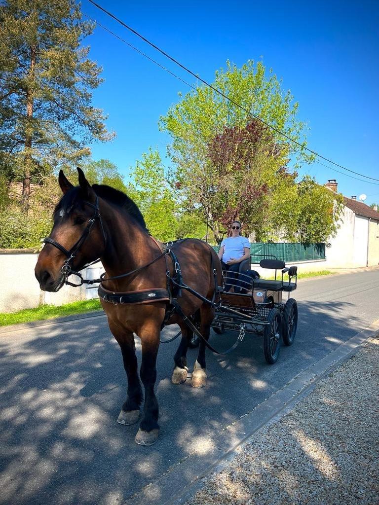 Le Gite De Gaia Hotel Villemer  Buitenkant foto